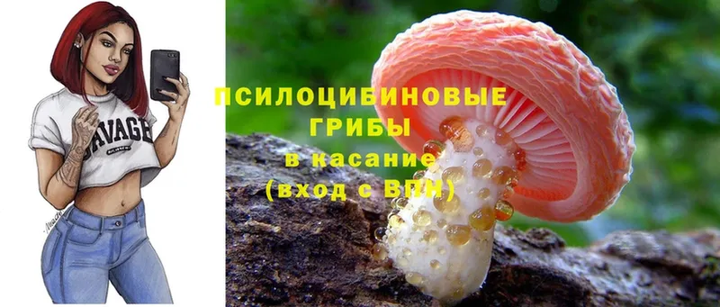 Псилоцибиновые грибы MAGIC MUSHROOMS  Аркадак 